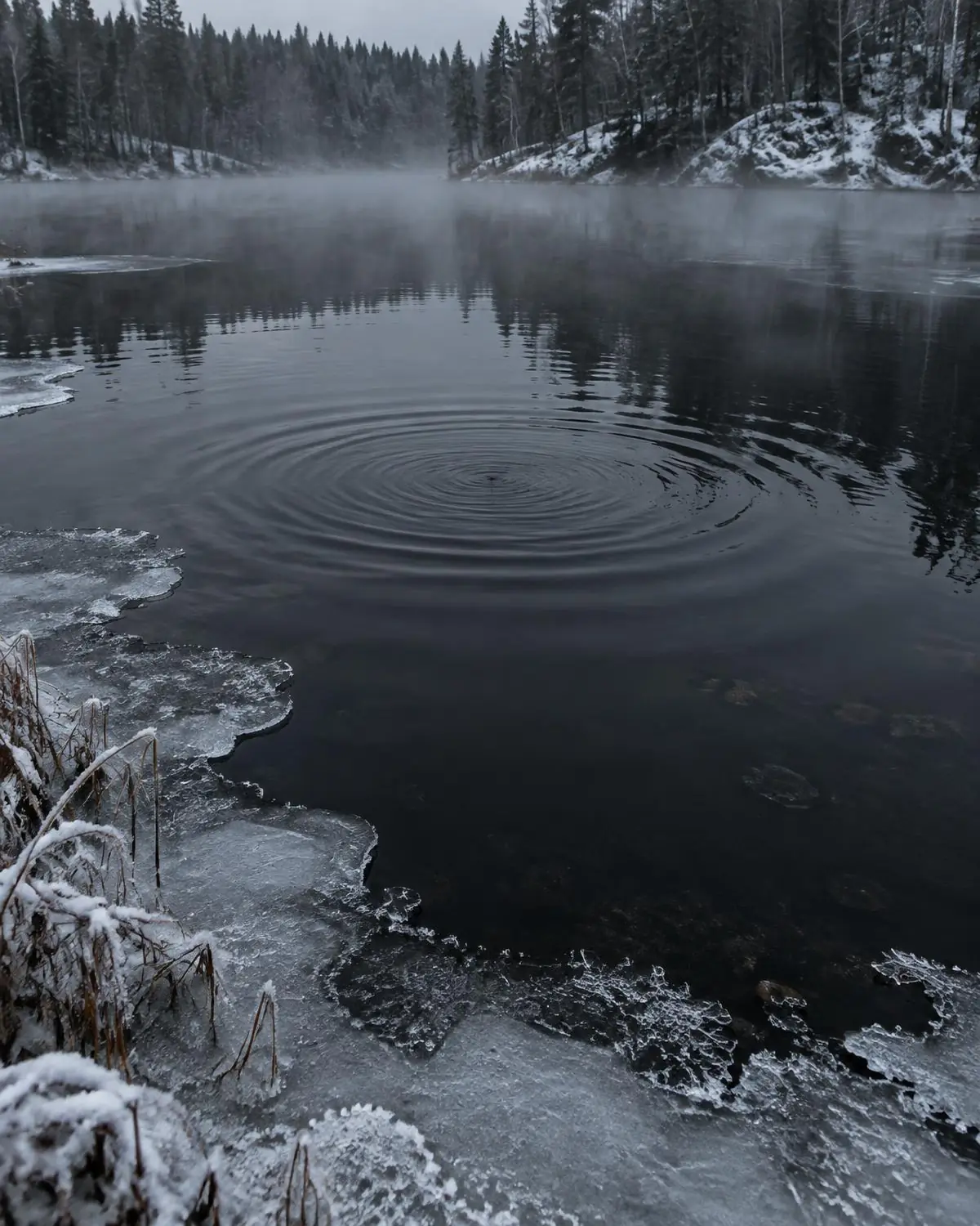 Wasserringe auf eiskaltem, dunklem Wasser